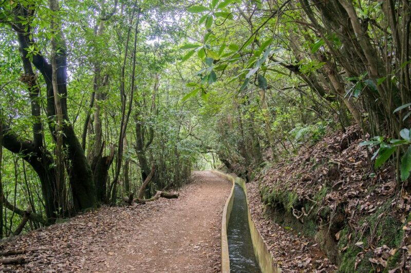 Ribeiro Frio / Portela - Levada Walk - Practical Tips and Recommended Preparation