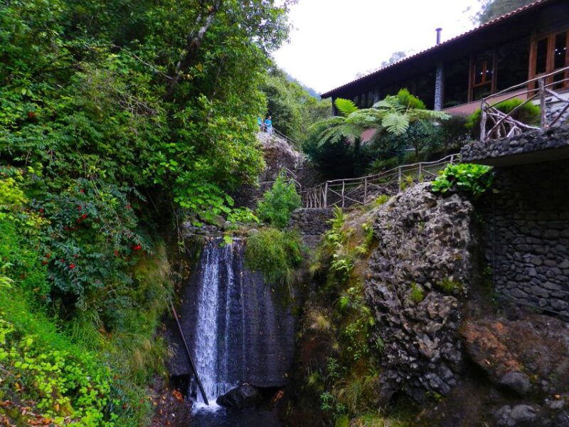 Ribeiro Frio / Portela - Levada Walk - Why This Tour Stands Out