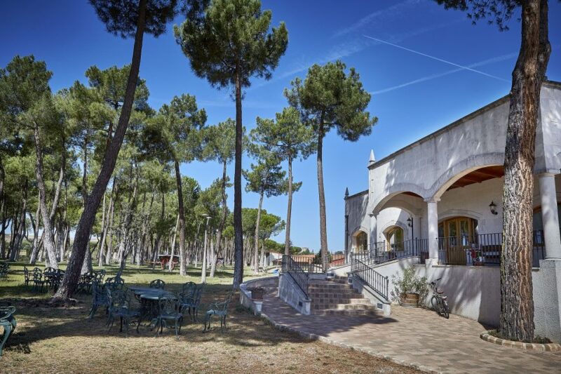 Ribera del Duero: Red Wine Discovery Tour with Tastings - Potential Limitations