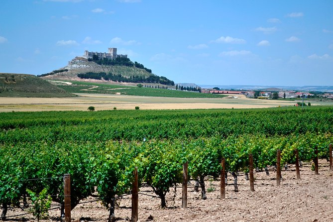 Ribera del Duero Small Group Tour: Tapas & Wine Tasting - Exclusive Small-Group Experience in Ribera del Duero