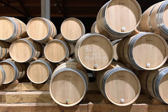 Ribera del Duero Small Group Tour: Tapas & Wine Tasting - Key Points