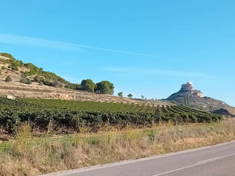 Ribera del Duero Tour From Madrid: 2 Wineries with Transport - Tasting the Region’s Signature Tempranillo Wines