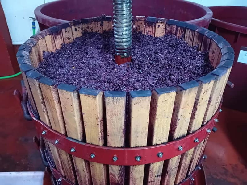 Ribera del Duero Tour From Madrid: 2 Wineries with Transport - Frequently Asked Questions