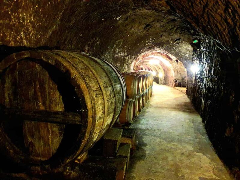 Ribera del Duero Tour: From Madrid to Ribera del Duero - lunch included - Savoring Tapas and Wine at Nabal Winery