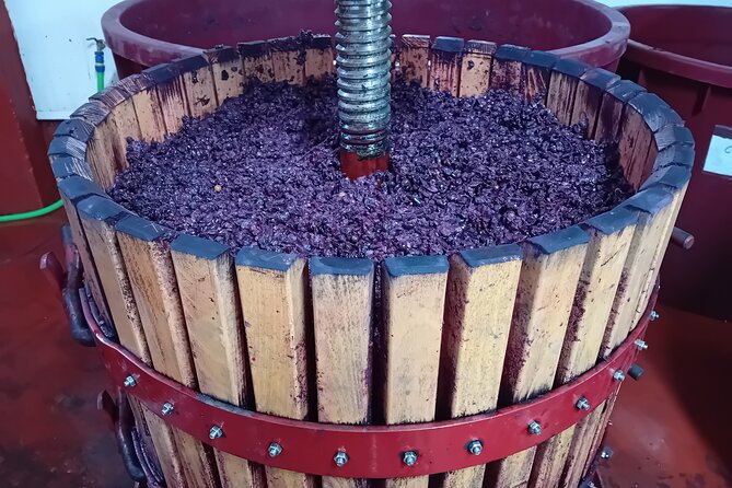 Ribera del Duero Tour: Three Wineries & Lunch from Madrid - Flexibility in Stops and Tasting Options