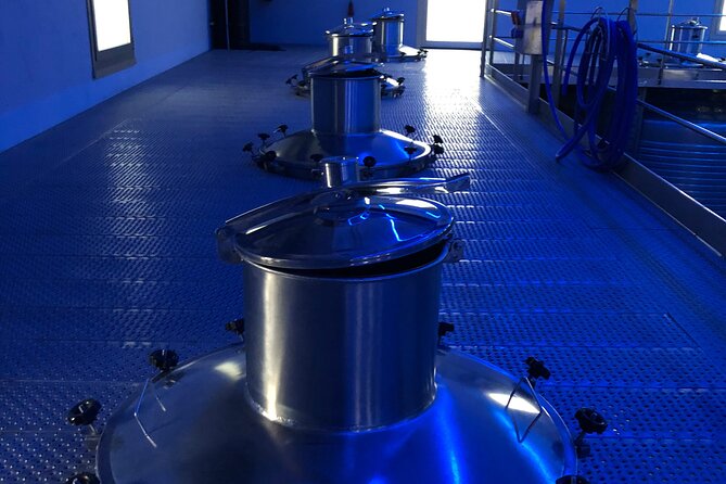 Ribera del Duero Tour: Two Wineries with Transport from Madrid - From Madrid to the Heart of Ribera del Duero