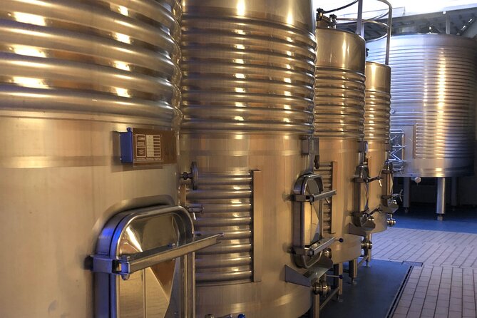 Ribera del Duero Tour: Two Wineries with Transport from Madrid - Comparing to Other Madrid Day Trips