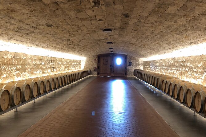 Ribera del Duero Tour: Two Wineries with Transport from Madrid - Ribera del Duero Winery Tour: A Well-Paced Introduction to Spain’s Bold Reds