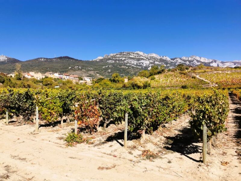 Ribera del Duero wine region private tour - Explore the Ribera del Dueros World-Class Wines from Madrid