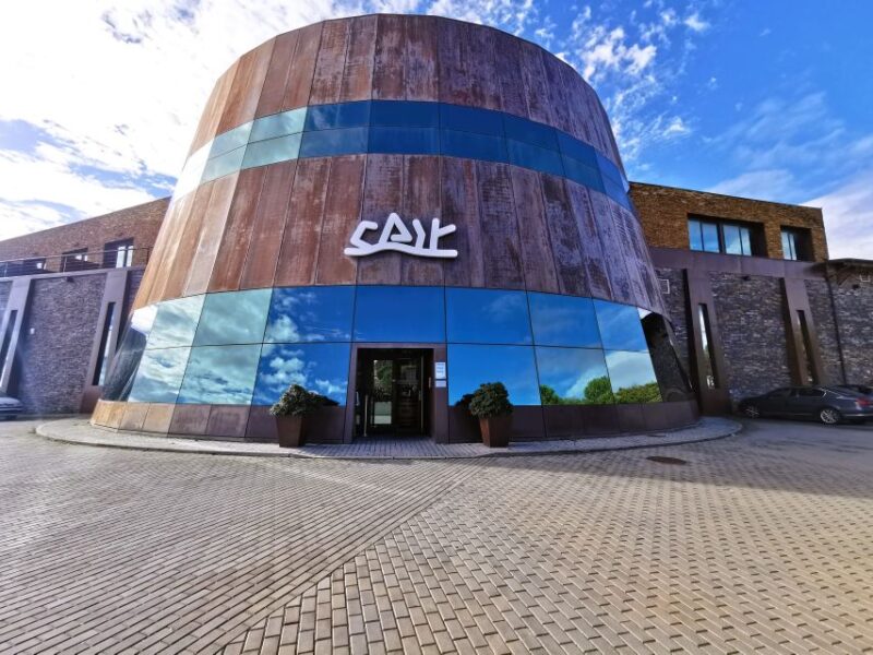 Ribera del Duero wine region private tour - Tasting the Diversity of Tempranillo Wines in Ribera del Duero