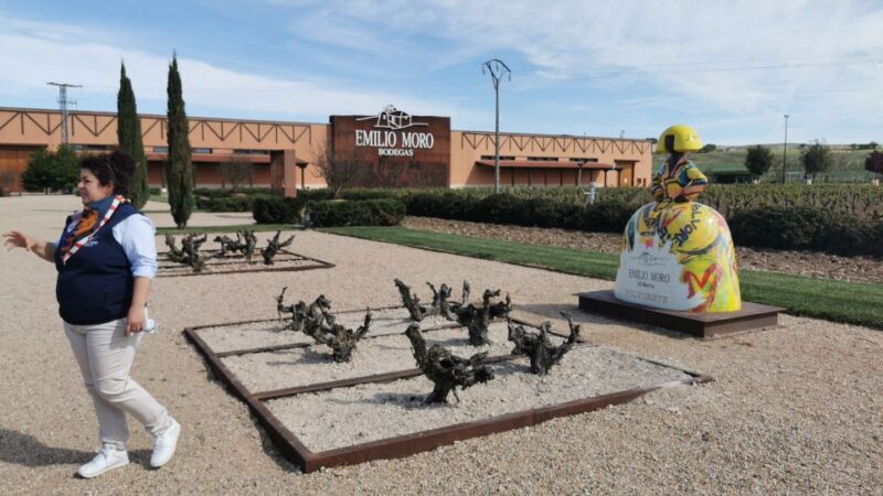 Ribera del Duero wine region private tour - Comfortable Logistics and Expert Guidance Throughout