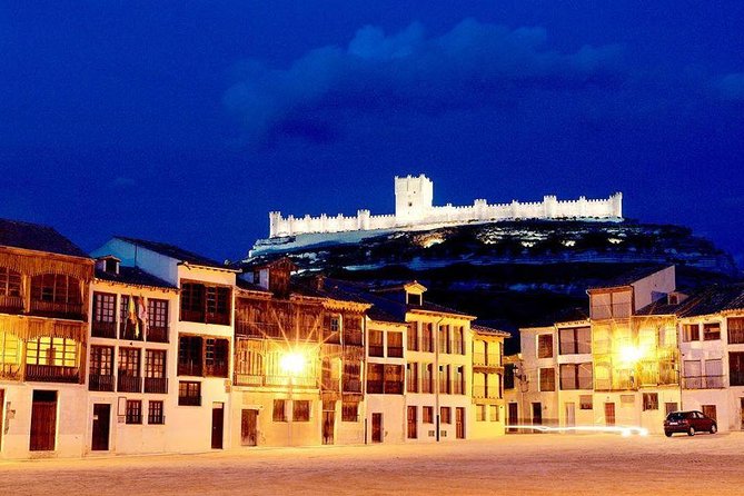 Ribera del Duero Winery Guided Tour and Wine Tasting from Madrid - Lunch and Food Options During the Tour