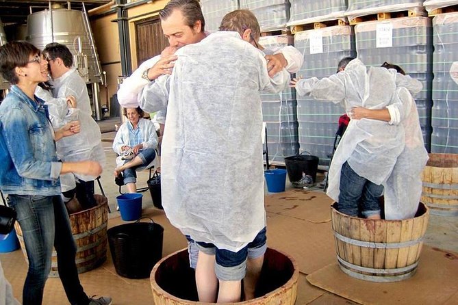 Ribera del Duero Winery Guided Tour and Wine Tasting from Madrid - Flexibility and Optional Afternoon Activities