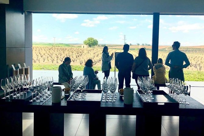 Ribera del Duero Winery Guided Tour and Wine Tasting from Madrid - Value and Overall Experience