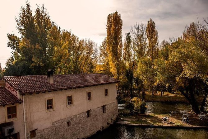 Ribera del Duero Winery Guided Tour and Wine Tasting from Madrid - Who Will Appreciate This Ribera del Duero Tour?