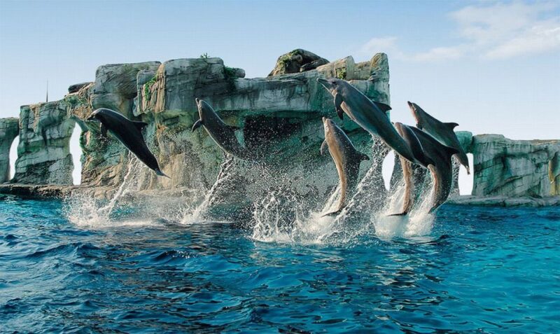 Riccione: Oltremare Park Entrance Ticket - Journey Through Human Evolution and the Universe