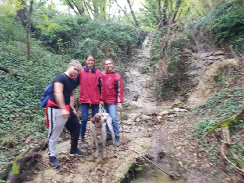 Ricerca del tartufo: esperienza da tartufaio per un giorno - Transport and Convenience