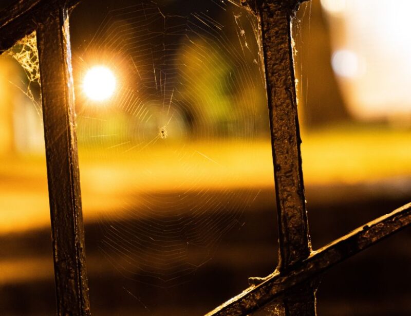 Richmond Ghosts Boos and Booze Haunted Pub Crawl - Richmond Ghosts Boos and Booze Haunted Pub Crawl: A Spooky Night Out in Virginia