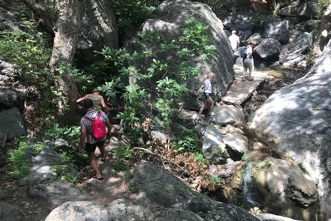 Richtis Waterfall, History, Azoria, OliveTasting, NorthCoast - Key Points