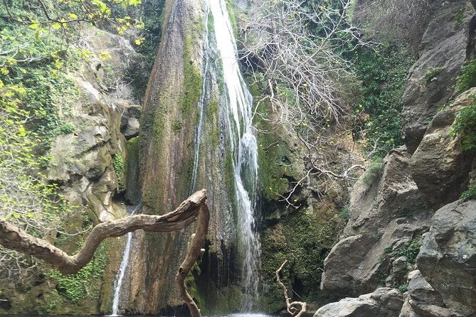 Richtis Waterfall, History, Azoria, OliveTasting, NorthCoast - Visiting the Ancient Olive Tree of Azoria