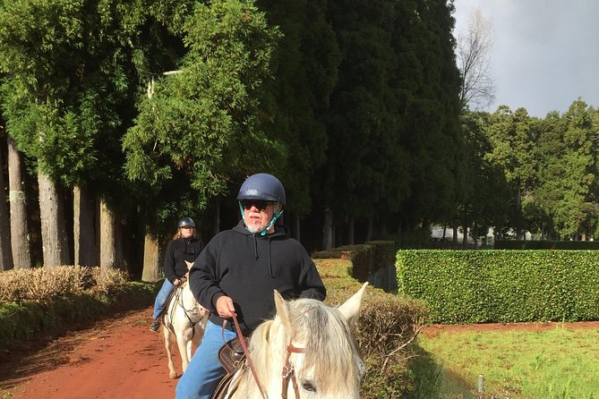 ride a volcano - go to the gardens in the woods - Key Points