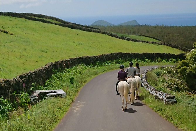 ride a volcano - go to the gardens in the woods - Who Will Love This Tour