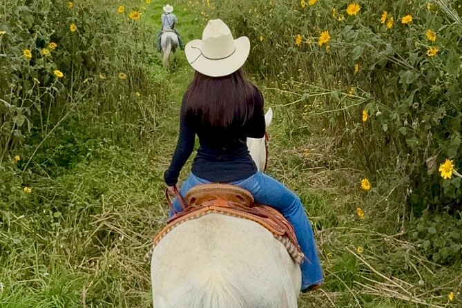 Ride Ajusco mountain trails & enjoy a ranch barbecue - Key Points