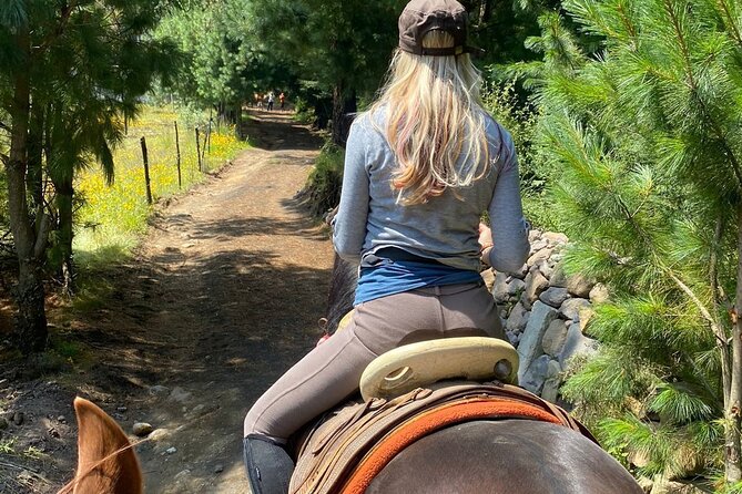 Ride Ajusco mountain trails & enjoy a ranch barbecue - Experience the Scenic Trails of Ajusco National Park