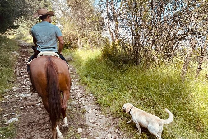 Ride Ajusco mountain trails & enjoy a ranch barbecue - Who Will Enjoy This Tour Most?
