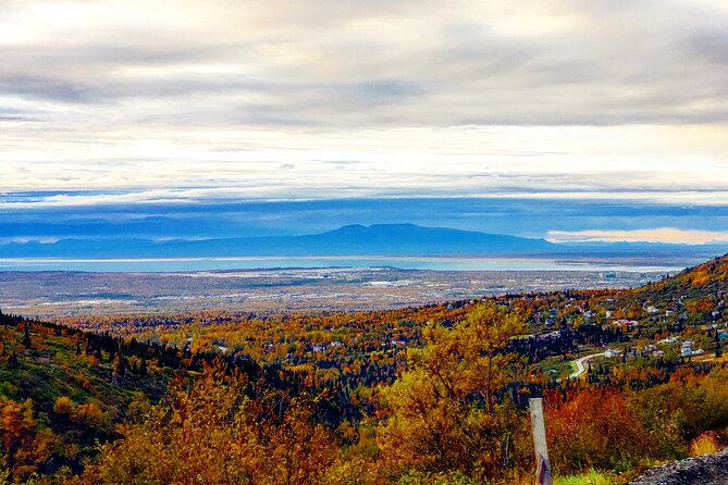 Ride & Roam: Mystery Sightseeing Tour - The Small-Group Advantage and Personalization