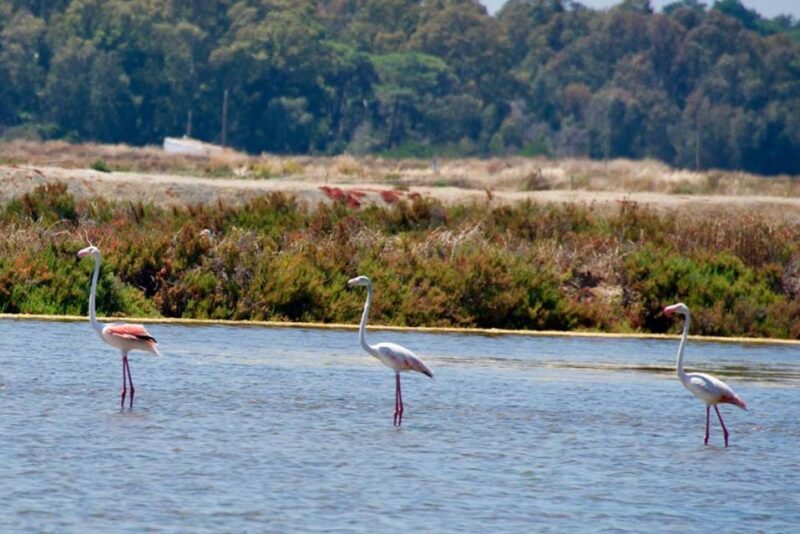 Ride the Day Away: Easy & Affordable E Motor Bike Rentals - Discover the Algarve on Electric Motorbikes in Vilamoura, Loule, and Faro