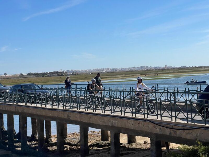 Ride the Day Away: Easy & Affordable E Motor Bike Rentals - Who Should Consider This Electric Bike Tour?