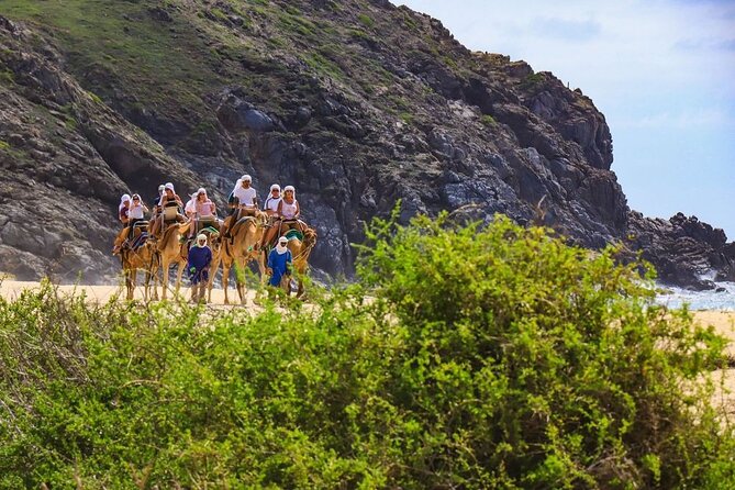 Ride the Wild Camel Safari and Off Road Rush - Relaxing Beachside Mexican Buffet and Tequila Tasting