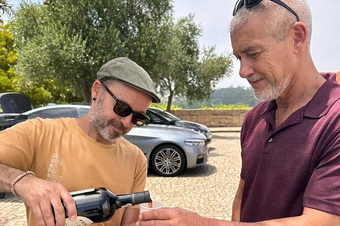 Ride through romantic Foz in an eco-friendly car - The Eco-Friendly Electric Vehicle: A Quiet, Green Ride