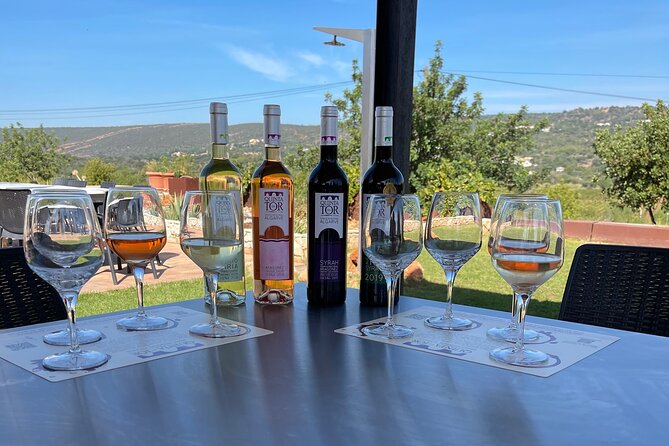 Ride & Wine: Scenic Quinta Da Tor Winery Electric Motorbike Tour - Discovering Quinta da Tôr Winery and Its Heritage