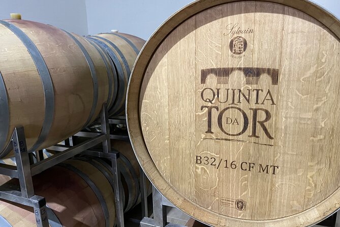Ride & Wine: Scenic Quinta Da Tor Winery Electric Motorbike Tour - What to Expect at Quinta da Tôr Winery