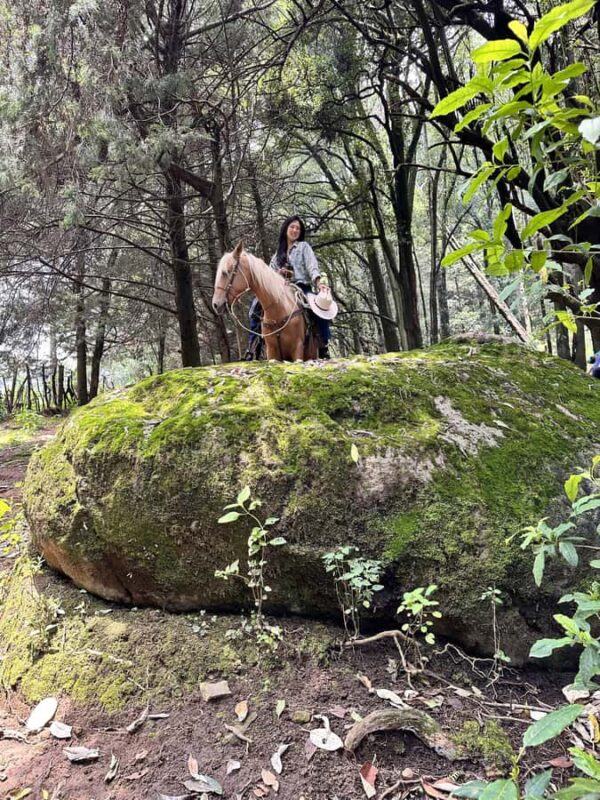 Ride with Mexican Charros: A Cowboy Adventure in Mexico City - Ride with Mexican Charros: An Authentic Cowboy Experience Near Mexico City