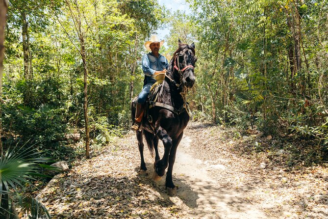 Rider Tour, Horseback Riding, ATV and Cenote - Exploring the Cenote and Water Zip Experience
