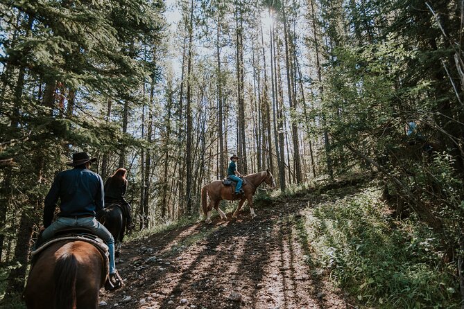 Ridge Ride 2-Hour Horseback Trail Ride in Kananaskis - Key Points