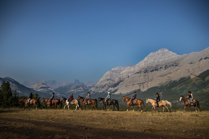 Ridge Ride 2-Hour Horseback Trail Ride in Kananaskis - The Experience: From Forest Trails to Mountain Ridges
