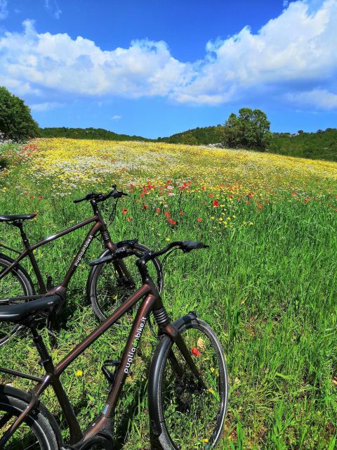 Riding to Alberobello and countryside with E-Bike - Riding Through the Apulian Countryside: Vineyards and Olive Groves