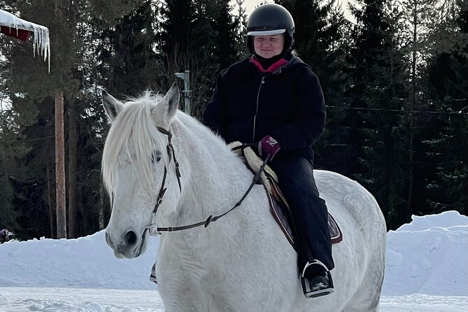 Riding Tour with Finnhorses at Santa Claus Village - Who Will Enjoy This Tour?