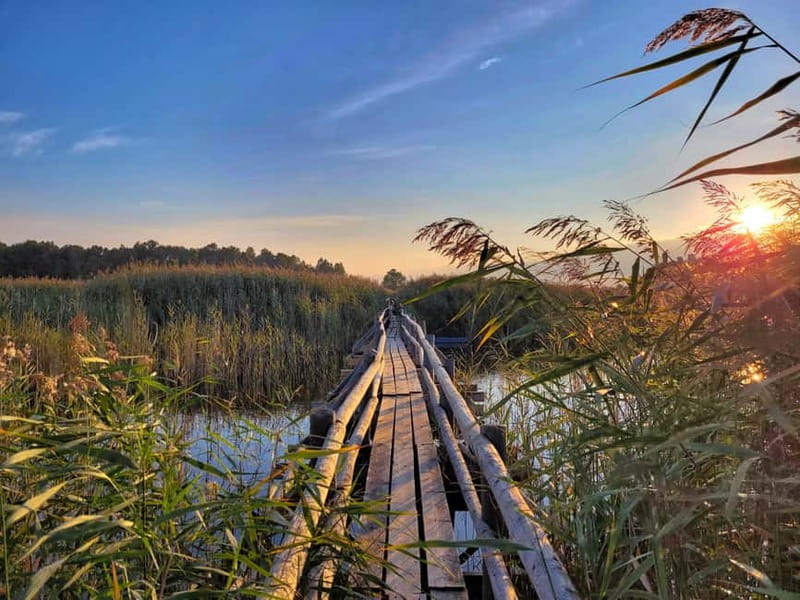 Riga: Best of Kemeri National Park In One Day - Key Points