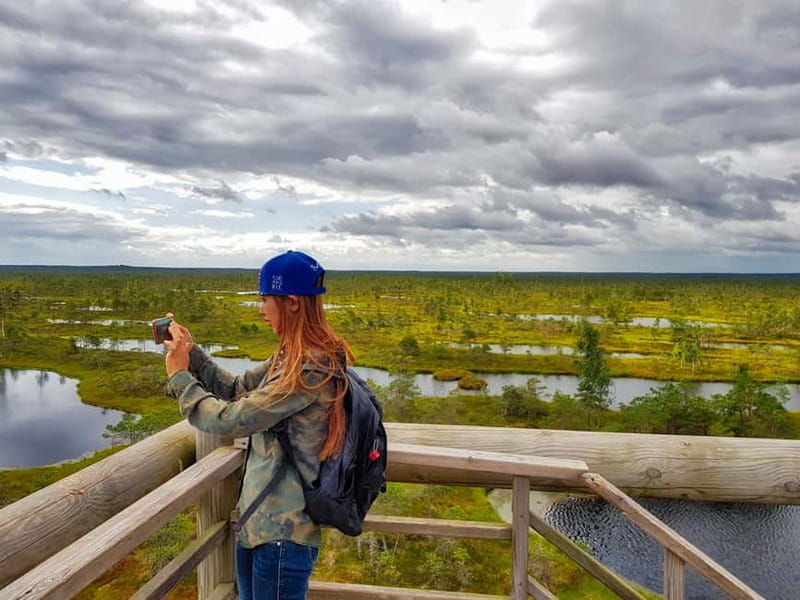 Riga: Best of Kemeri National Park In One Day - Value and Customer Satisfaction