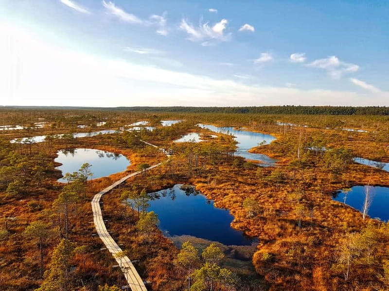 Riga: Best of Kemeri National Park In One Day - Final Thoughts on the Kemeri National Park Day Trip