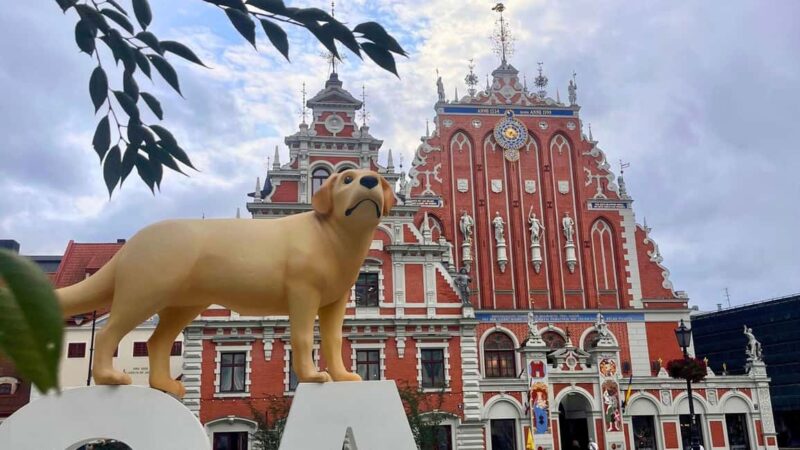 Riga: Canal Boat Tour with Drink & Old Town Audio Tour - Comparing This Tour to Similar Riga Experiences