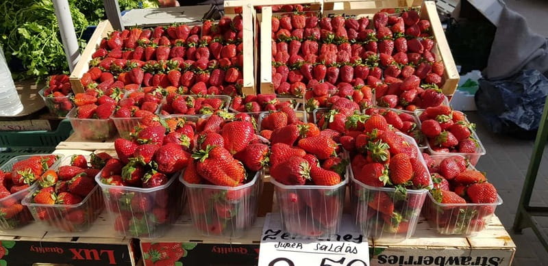 Riga: Central Market Latvian Food Tour - Sampling Latvian Sweets and Drinks