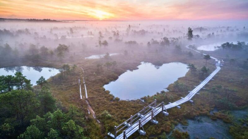 Riga: emeri Sunrise Tour with Breakfast (Group or Private) - Key Points