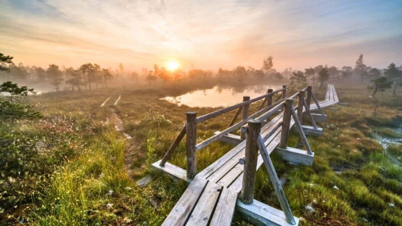 Riga: emeri Sunrise Tour with Breakfast (Group or Private) - Exploring the Great Emeri Bog: The Wooden Boardwalk