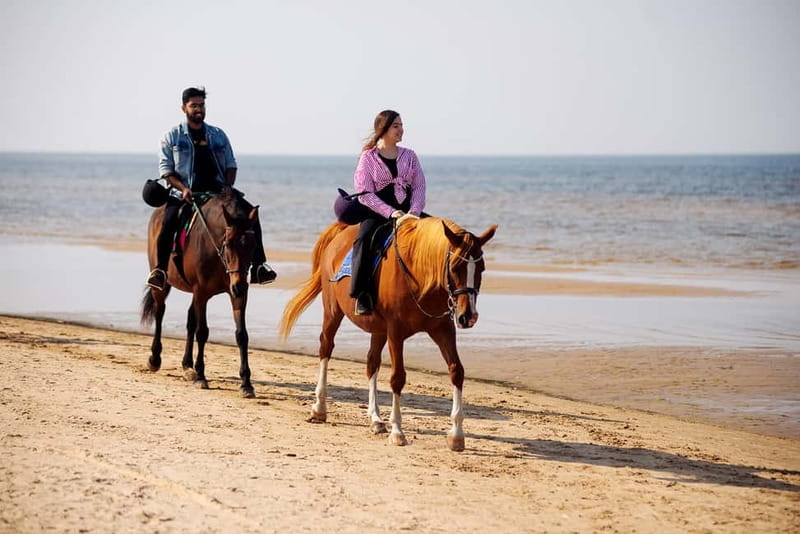 Riga Horse Riding tour along the Beach - The Scenic Route: Pine Forests, Sand Dunes, and Baltic Beaches